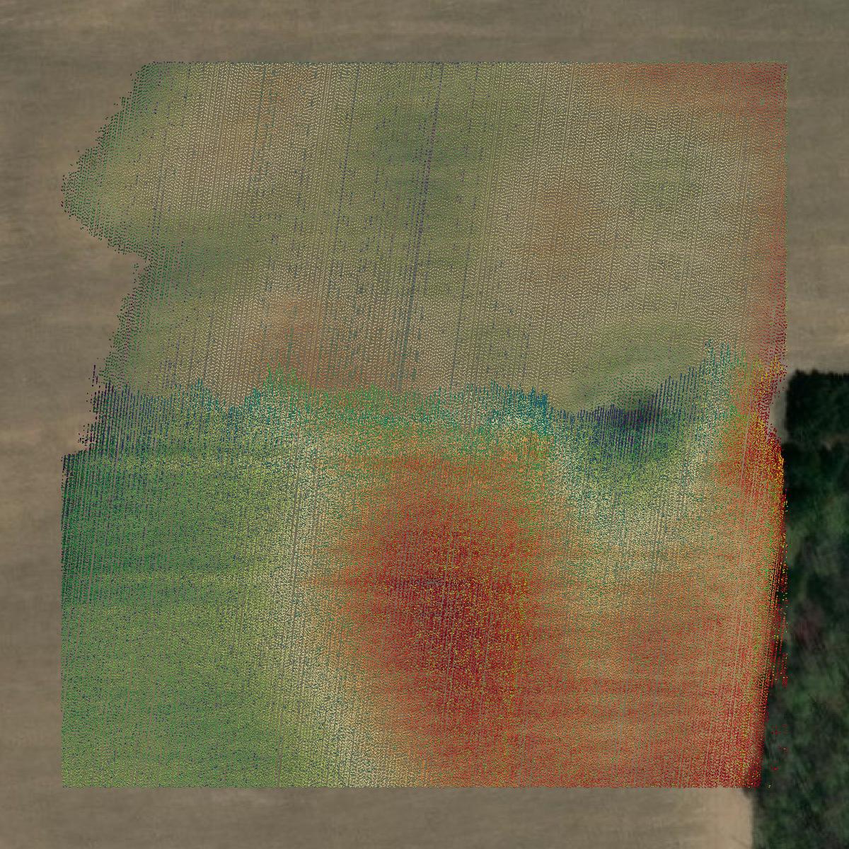 This image shows a LiDAR point cloud in Langlade County created using GIS data in Equator.