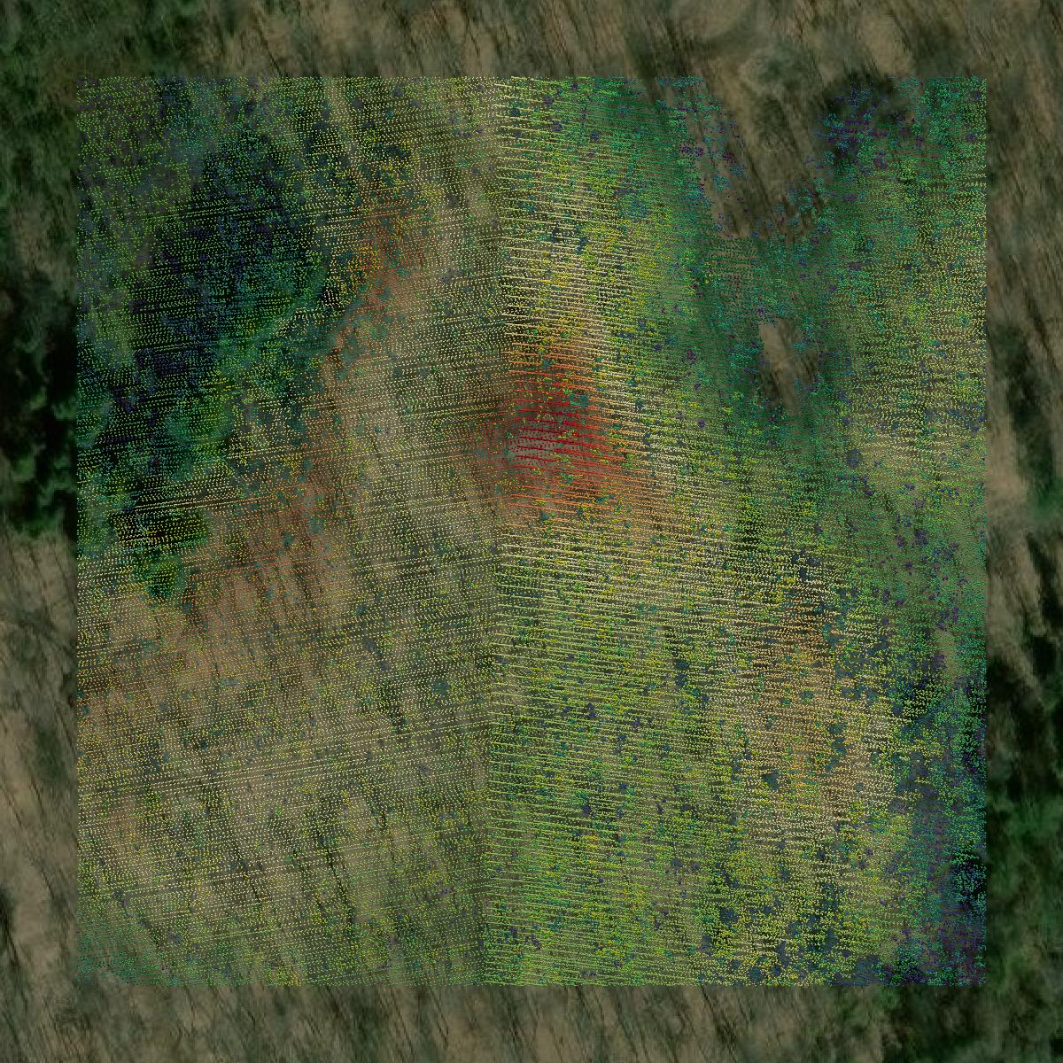 This image shows a LiDAR point cloud in Lincoln County created using GIS data in Equator.