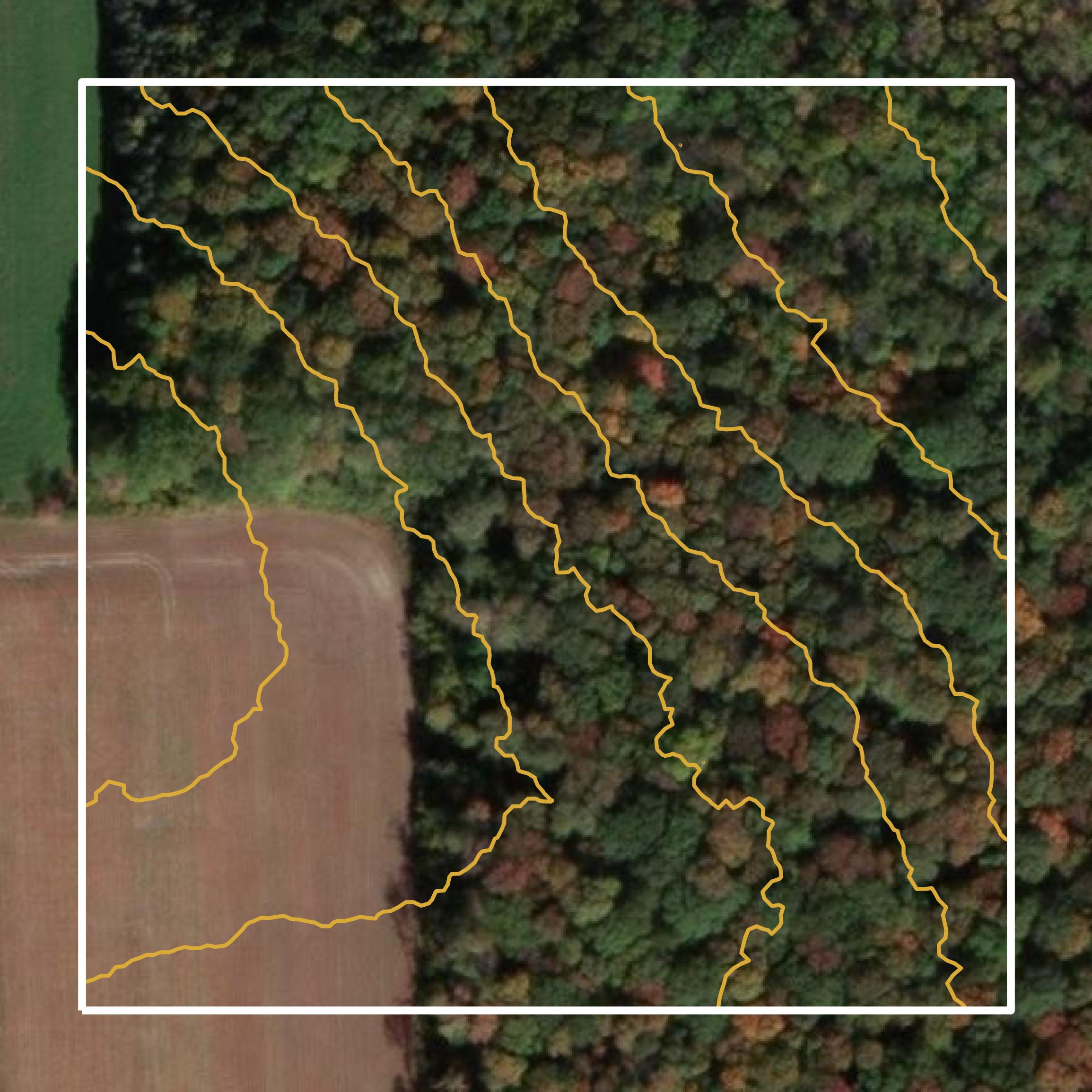 This image shows a contour map in Marathon County created using GIS data in Equator.