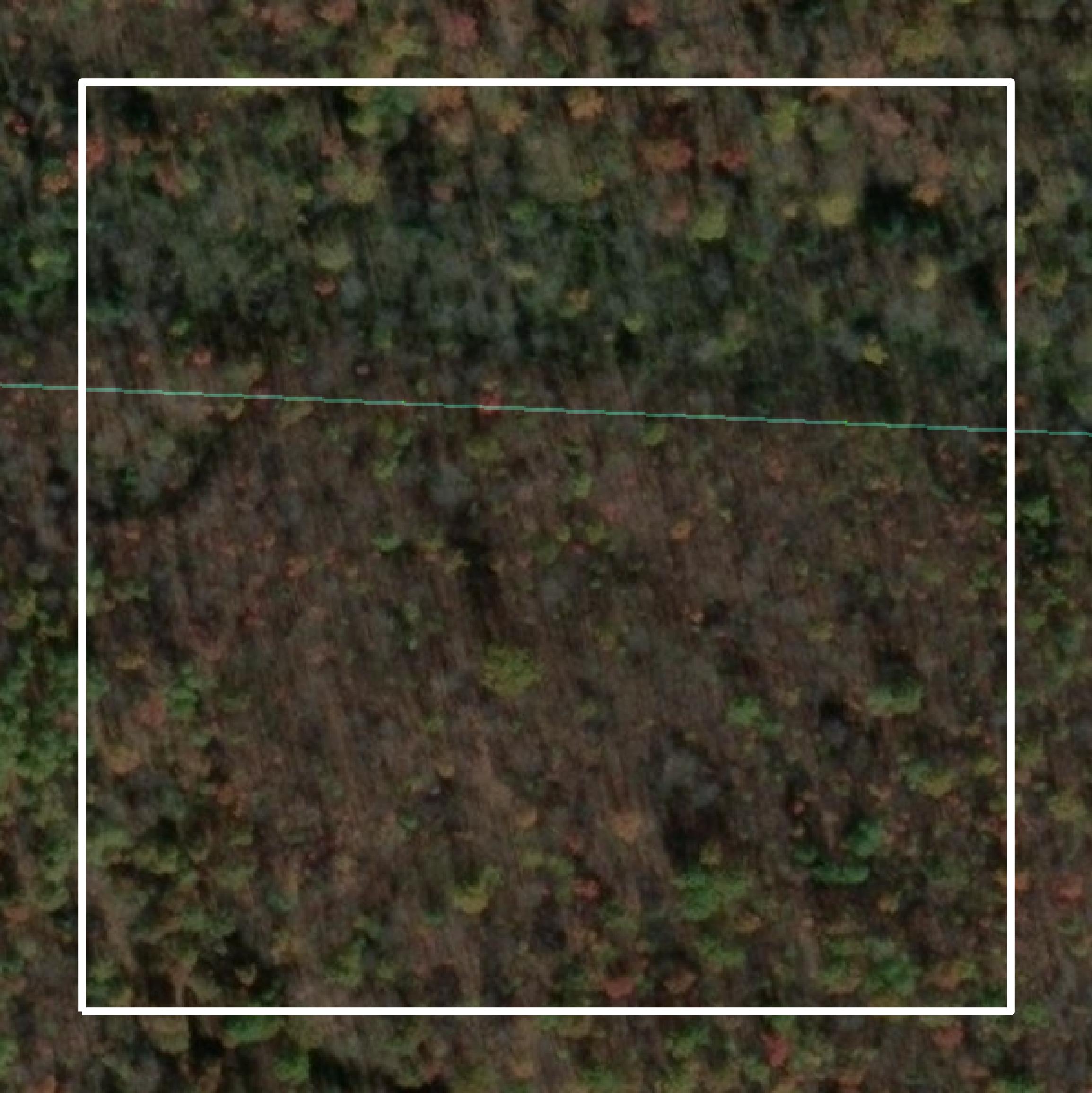 This image shows parcel and building data in Marathon County created using GIS data in Equator.