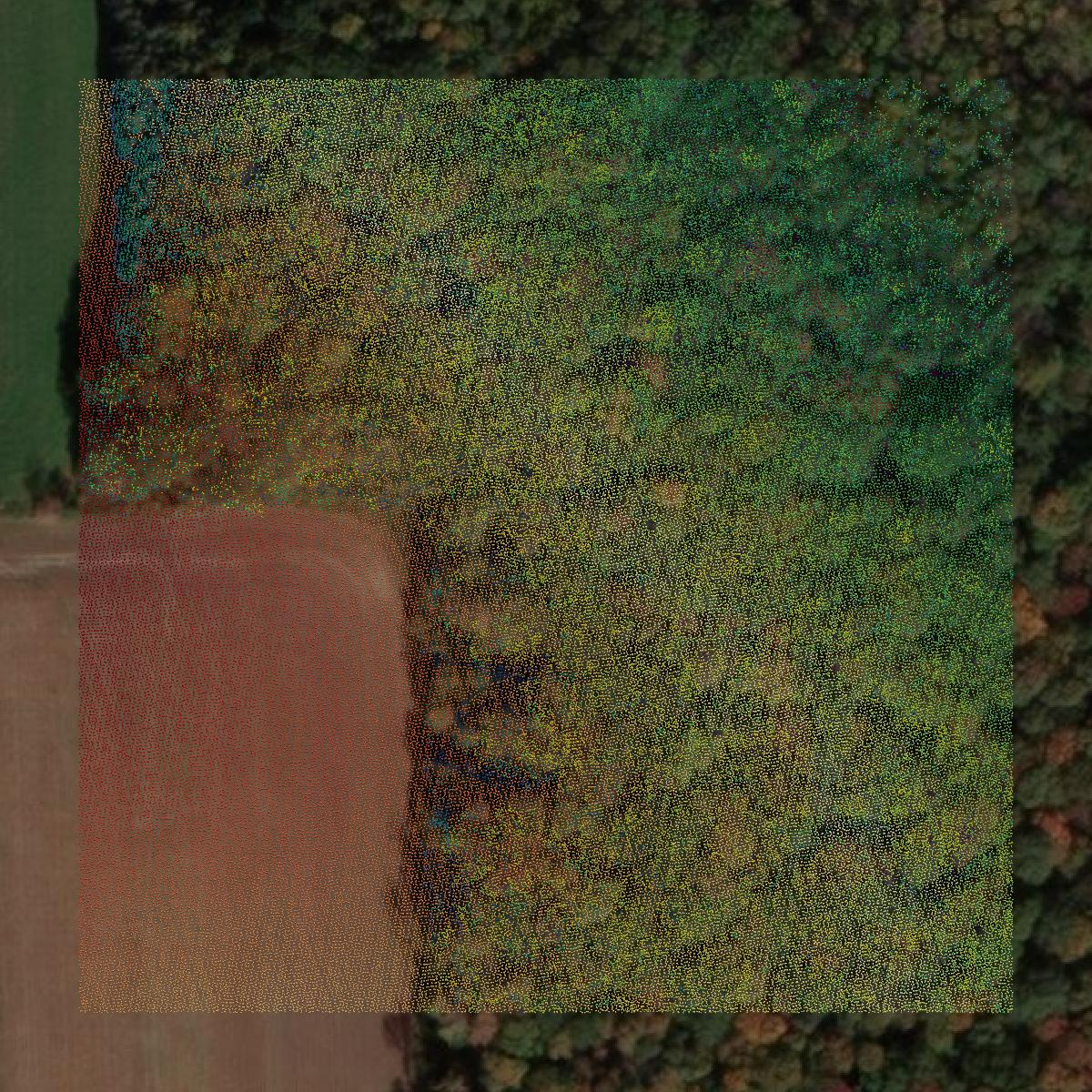 This image shows a LiDAR point cloud in Marathon County created using GIS data in Equator.