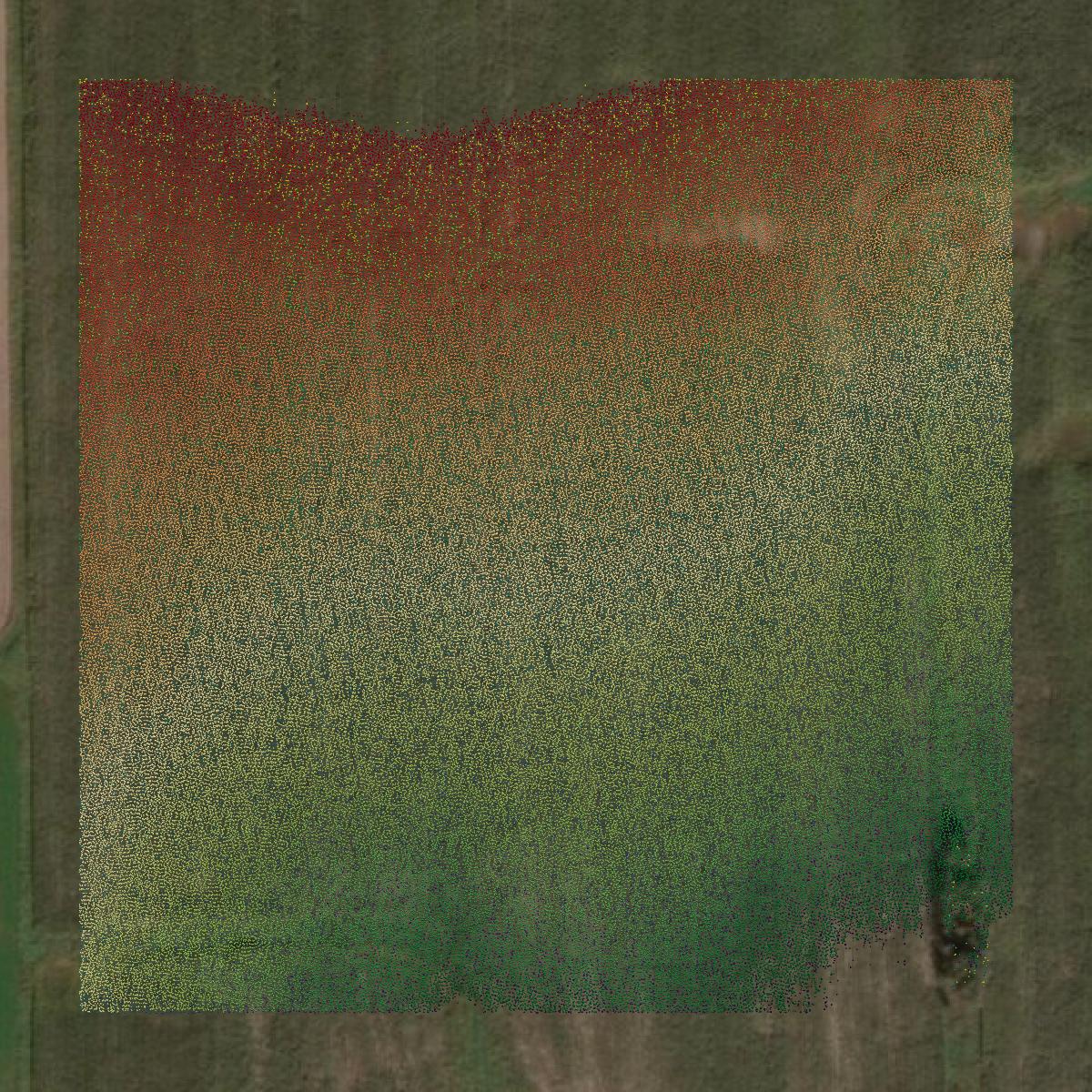 This image shows a LiDAR point cloud in Marathon County created using GIS data in Equator.