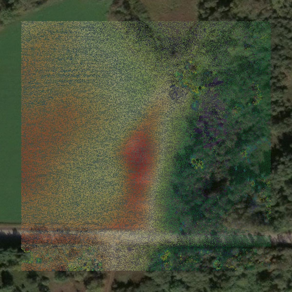 This image shows a LiDAR point cloud in Marinette County created using GIS data in Equator.