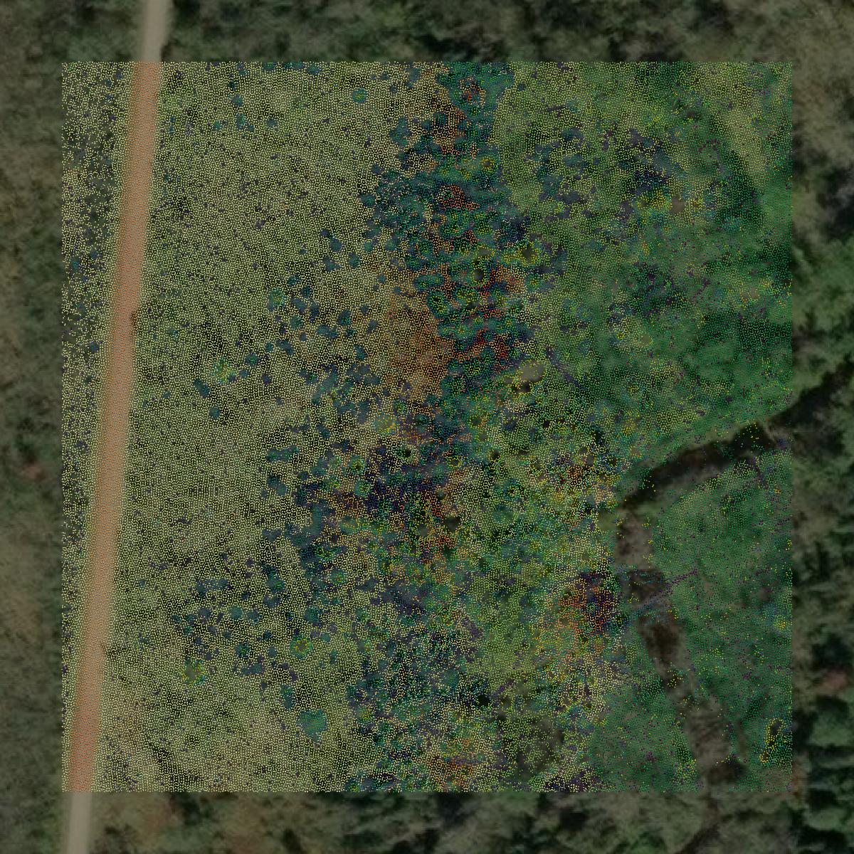 This image shows a LiDAR point cloud in Marinette County created using GIS data in Equator.