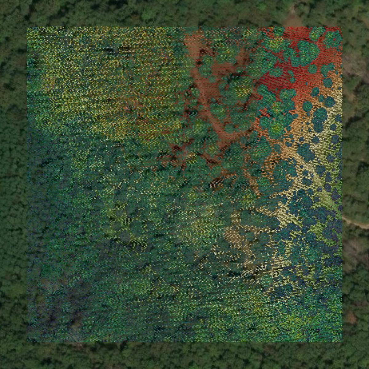 This image shows a LiDAR point cloud in Marquette County created using GIS data in Equator.