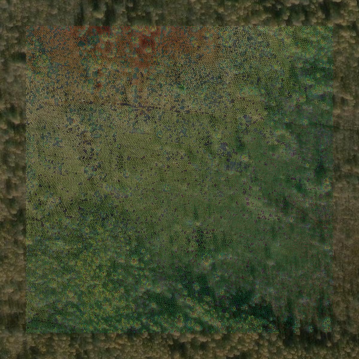 This image shows a LiDAR point cloud in Marquette County created using GIS data in Equator.