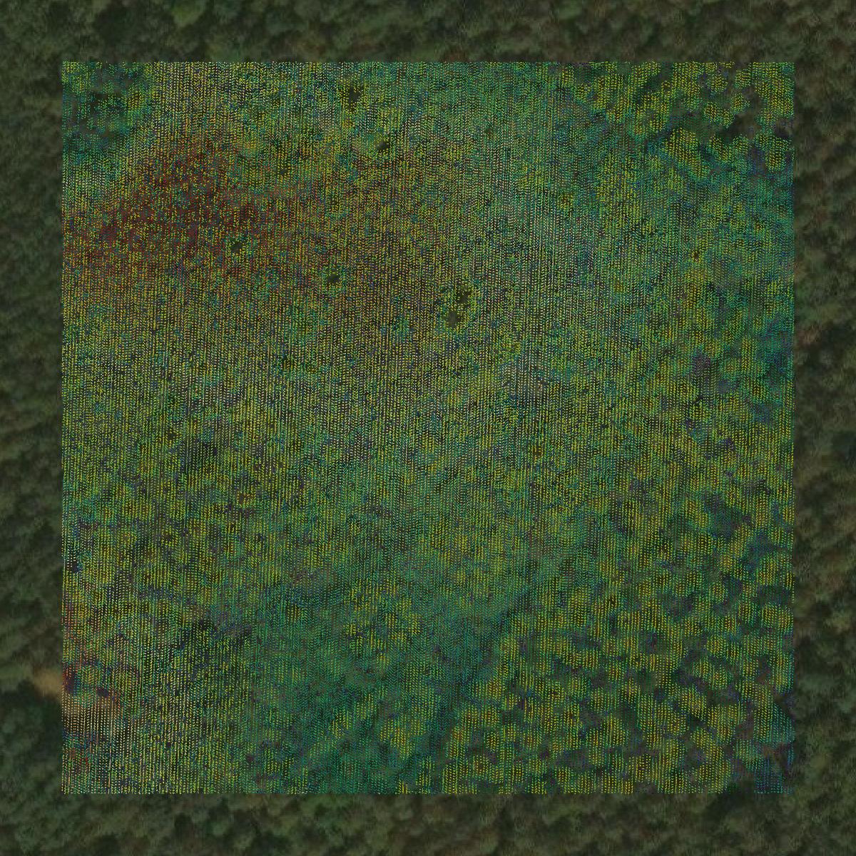 This image shows a LiDAR point cloud in Menominee County created using GIS data in Equator.