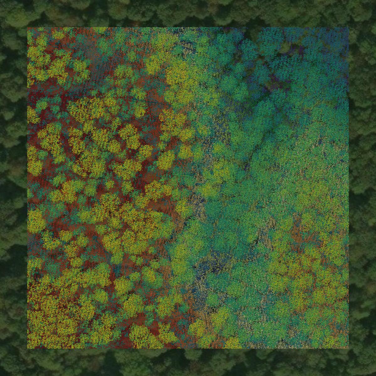 This image shows a LiDAR point cloud in Menominee County created using GIS data in Equator.