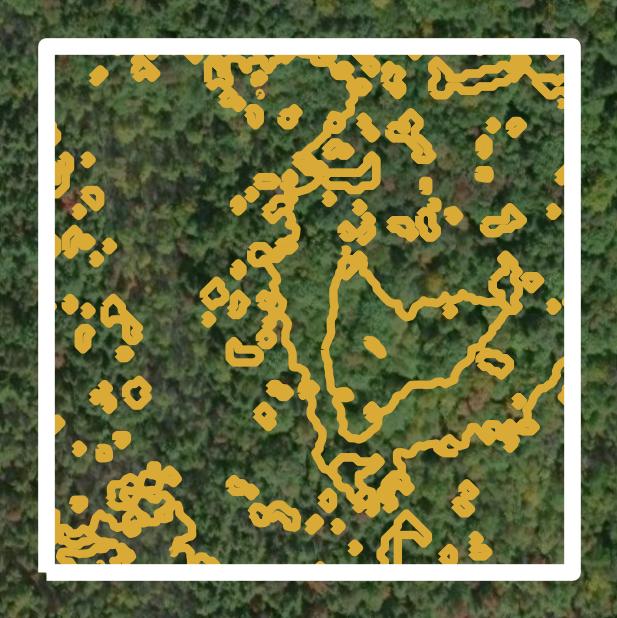 This image shows a contour map in Oconto County created using GIS data in Equator.