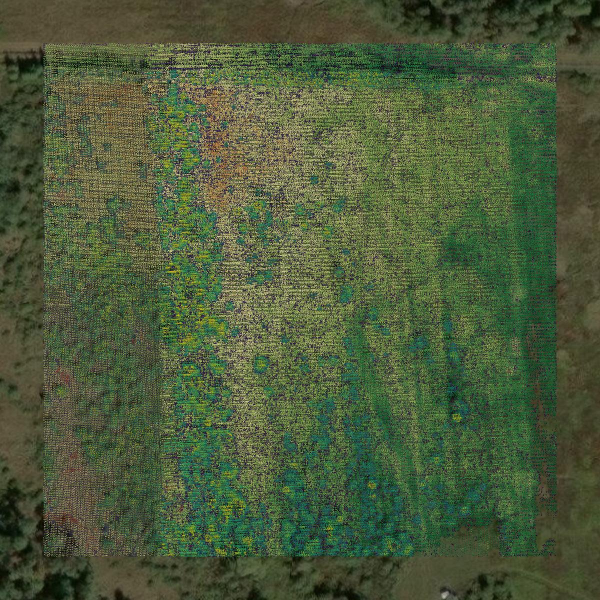 This image shows a LiDAR point cloud in Oconto County created using GIS data in Equator.