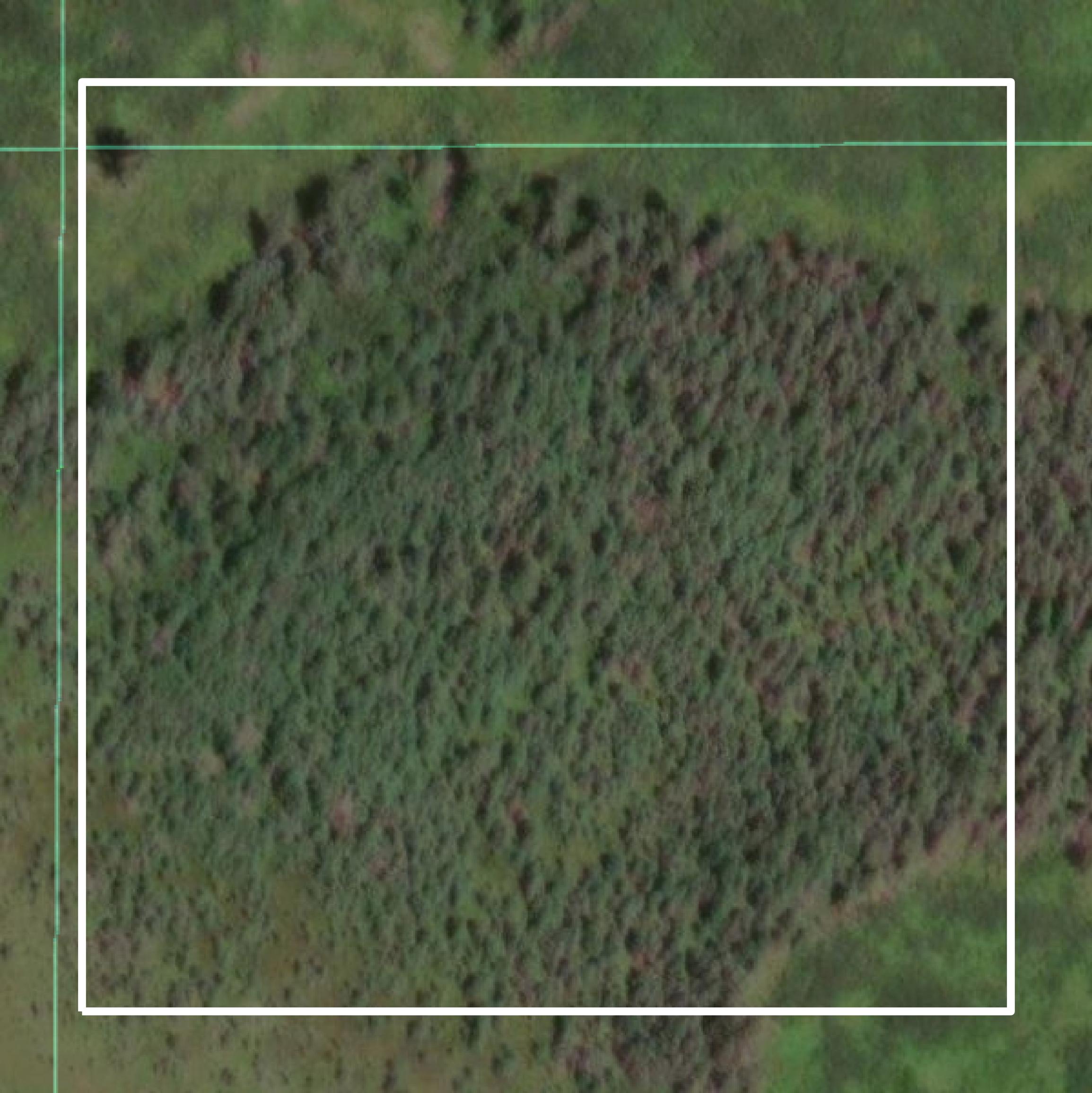 This image shows parcel and building data in Oneida County created using GIS data in Equator.