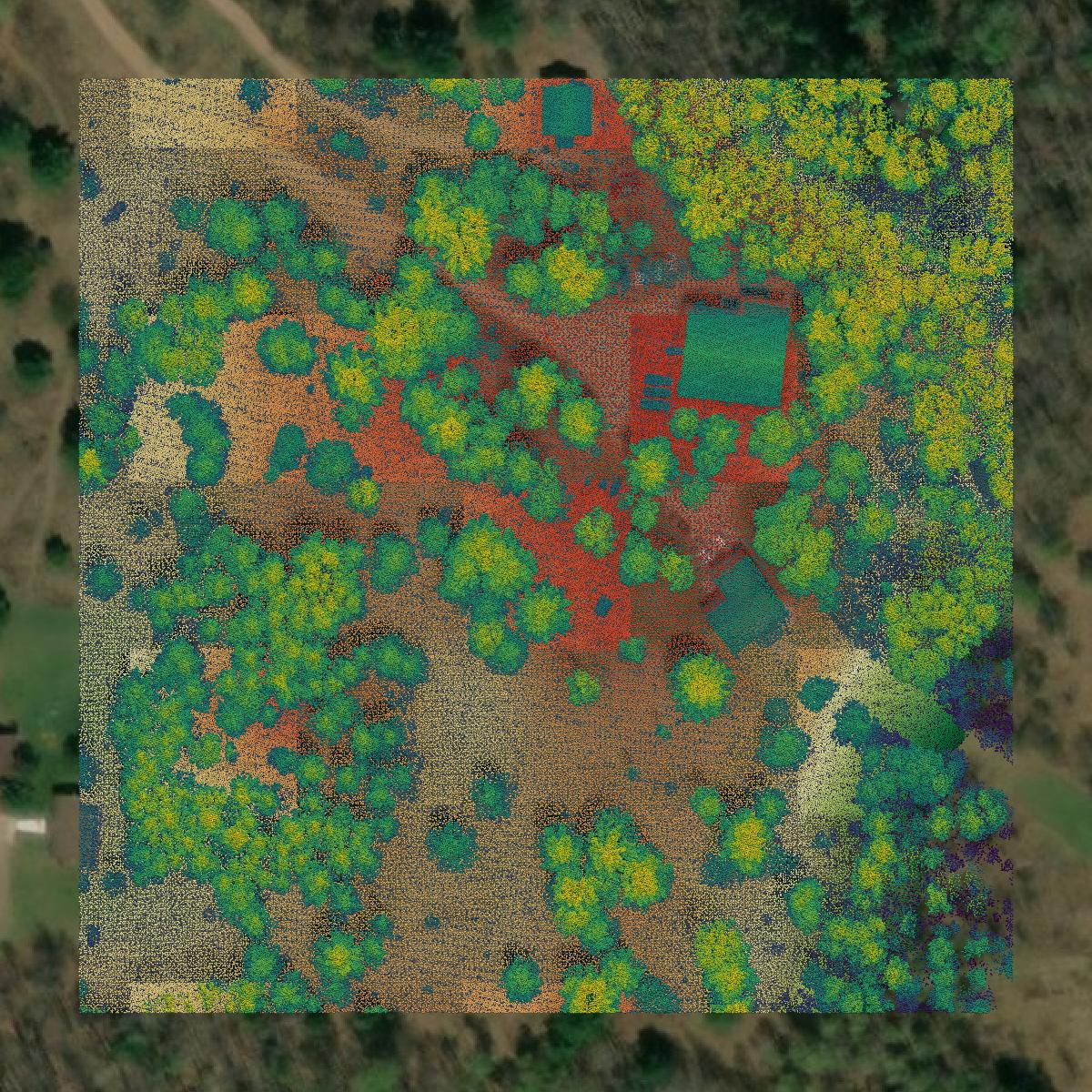 This image shows a LiDAR point cloud in Oneida County created using GIS data in Equator.