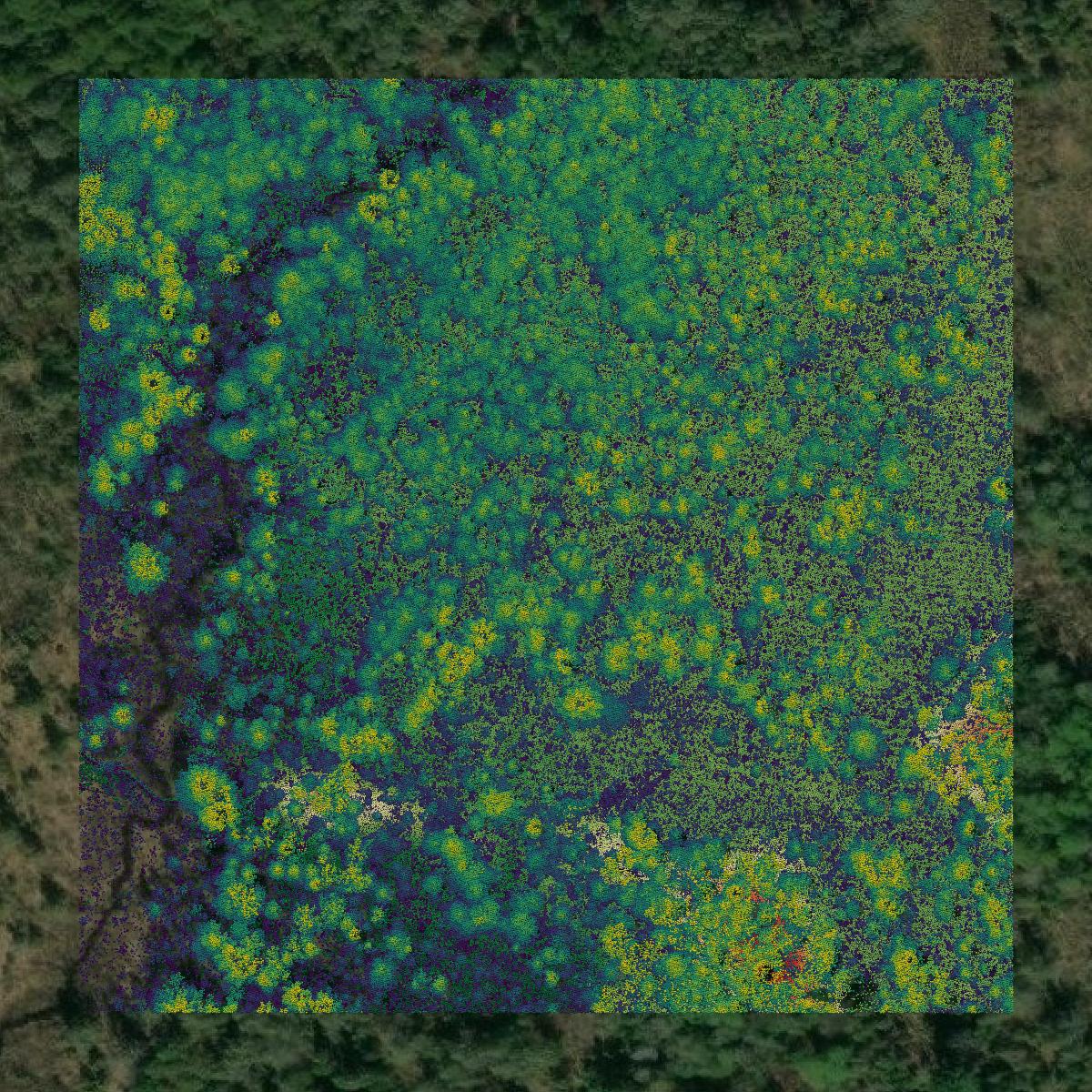 This image shows a LiDAR point cloud in Oneida County created using GIS data in Equator.