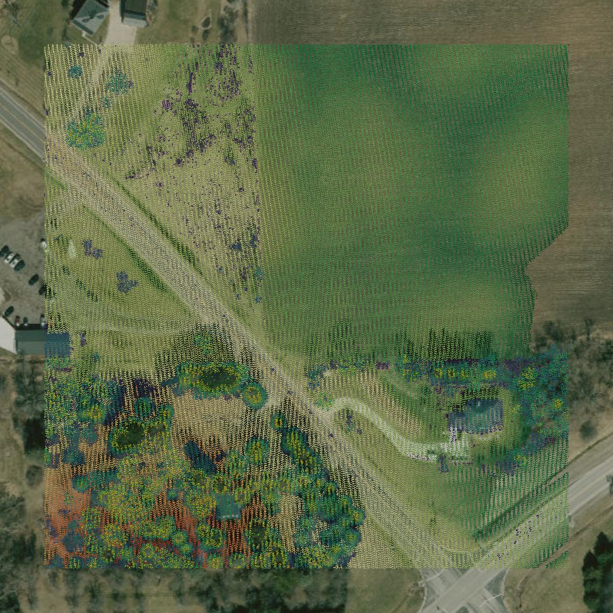 This image shows a LiDAR point cloud in Ozaukee County created using GIS data in Equator.