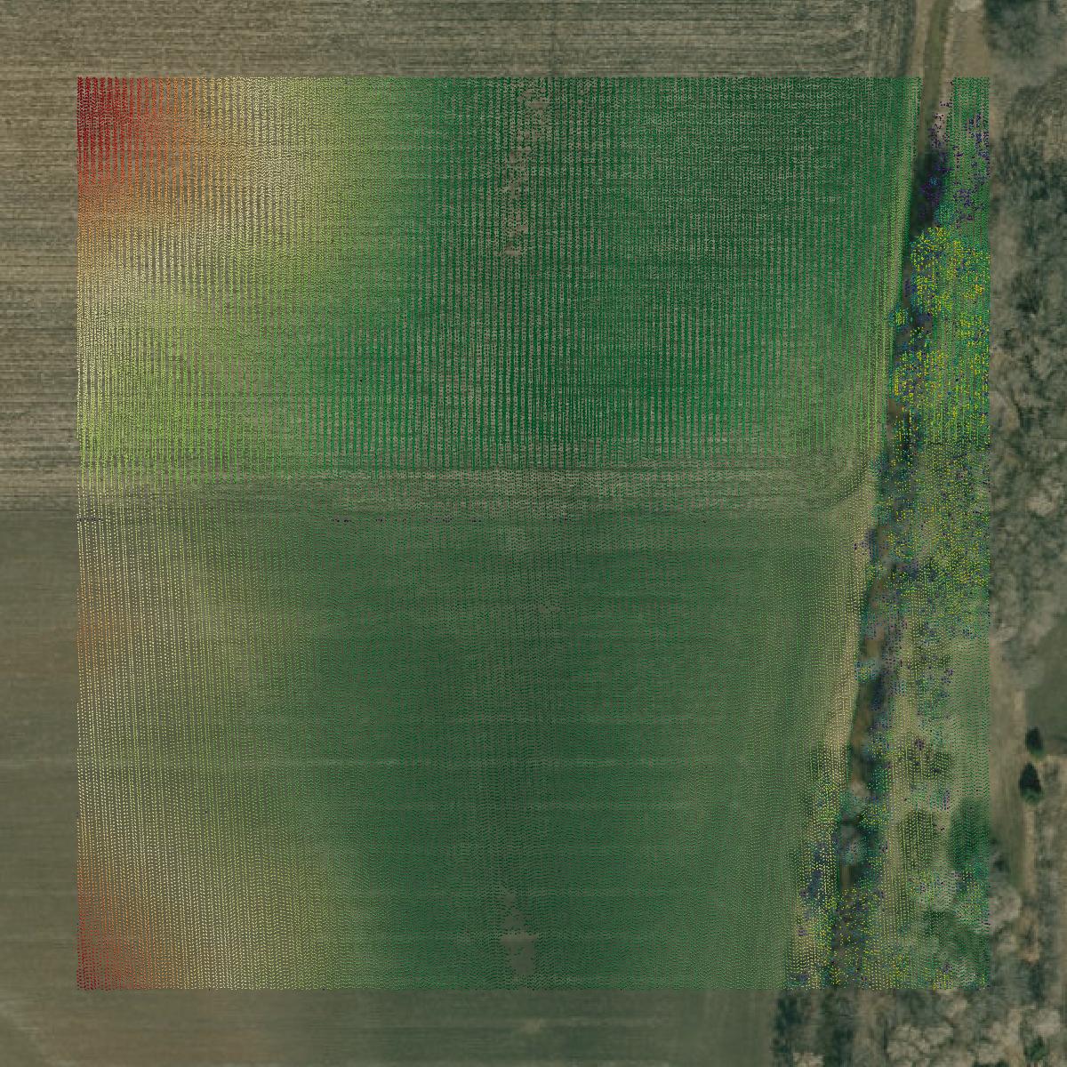 This image shows a LiDAR point cloud in Ozaukee County created using GIS data in Equator.