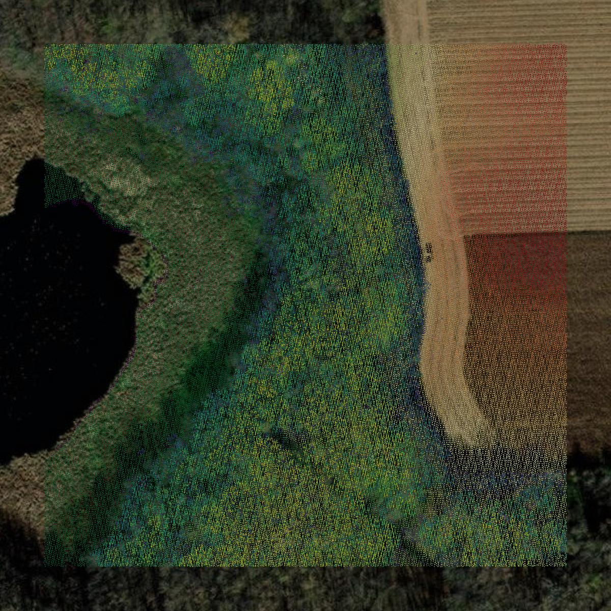 This image shows a LiDAR point cloud in Pepin County created using GIS data in Equator.