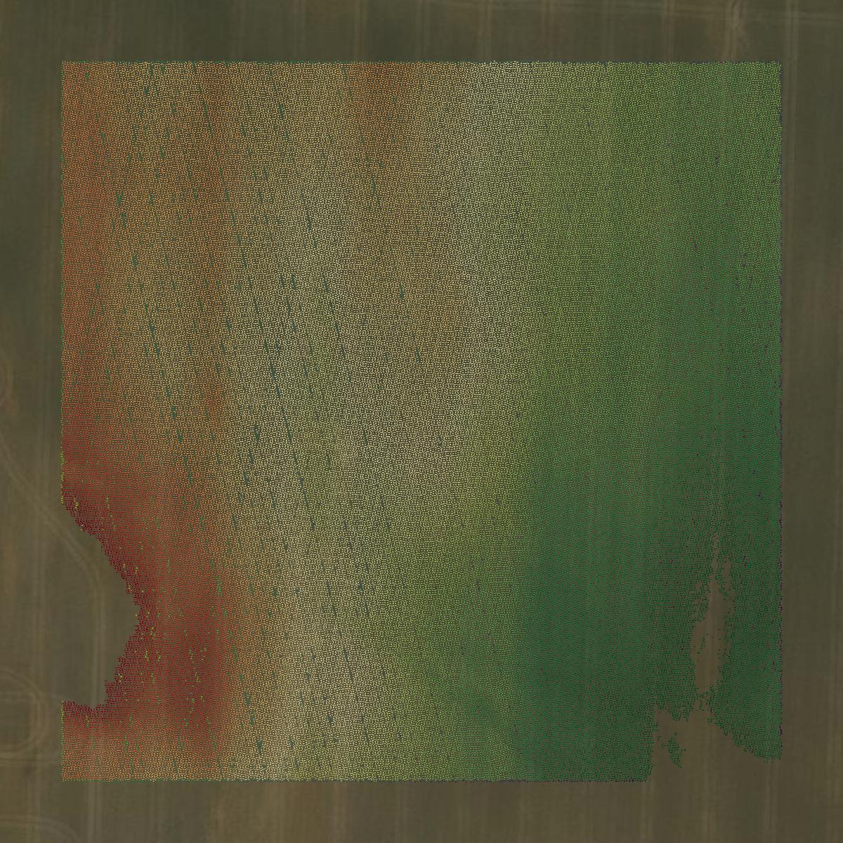 This image shows a LiDAR point cloud in Polk County created using GIS data in Equator.