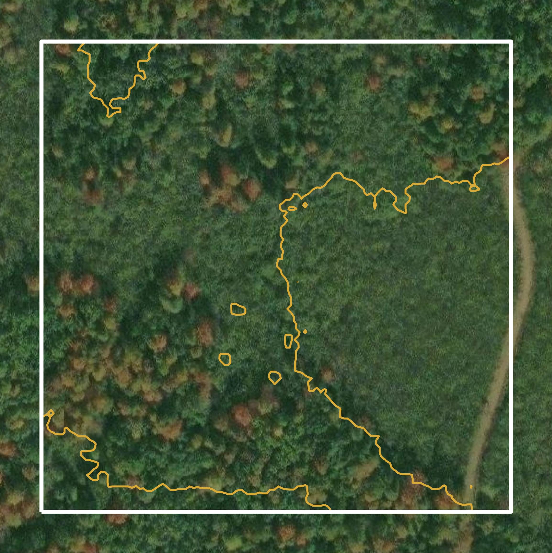This image shows a contour map in Price County created using GIS data in Equator.