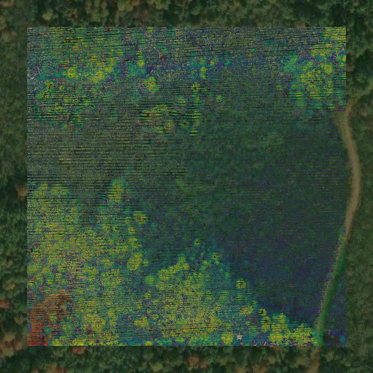 This image shows a LiDAR point cloud in Price County created using GIS data in Equator.