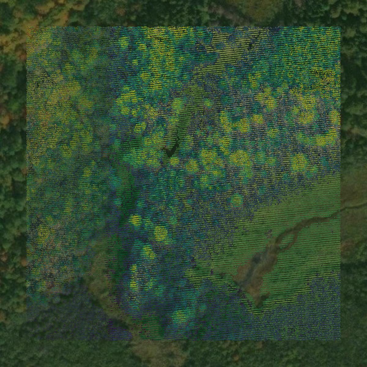 This image shows a LiDAR point cloud in Price County created using GIS data in Equator.