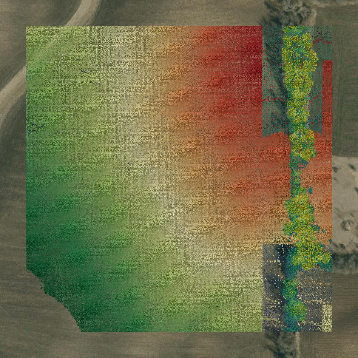 This image shows a LiDAR point cloud in Racine County created using GIS data in Equator.