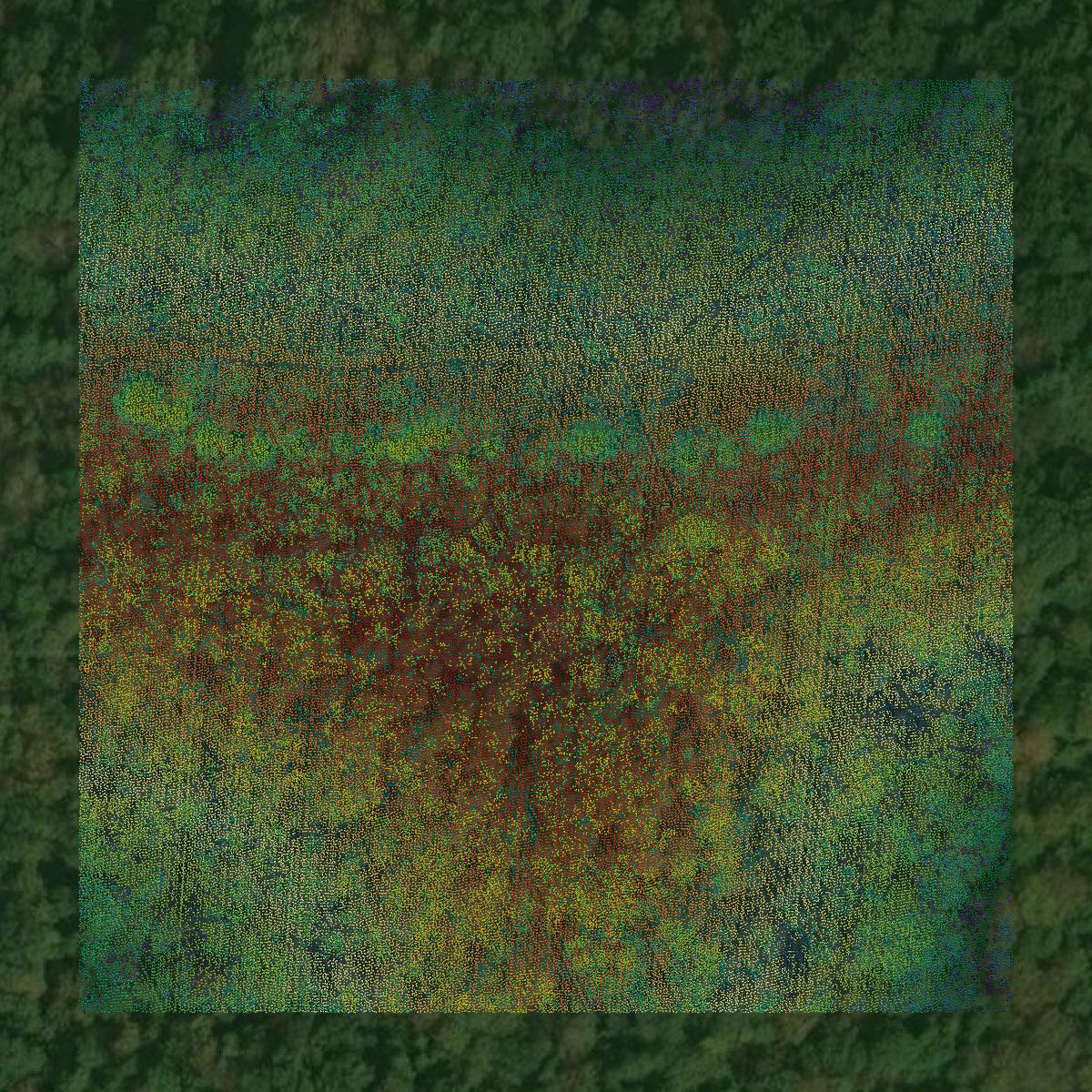 This image shows a LiDAR point cloud in Richland County created using GIS data in Equator.