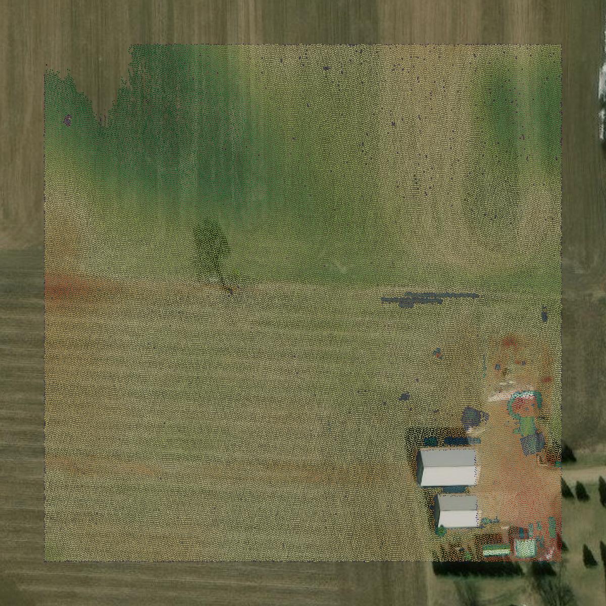 This image shows a LiDAR point cloud in Rock County created using GIS data in Equator.