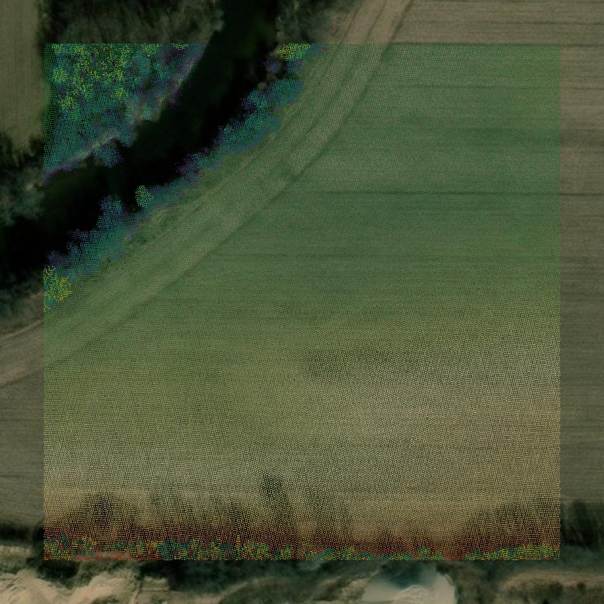 This image shows a LiDAR point cloud in Rock County created using GIS data in Equator.