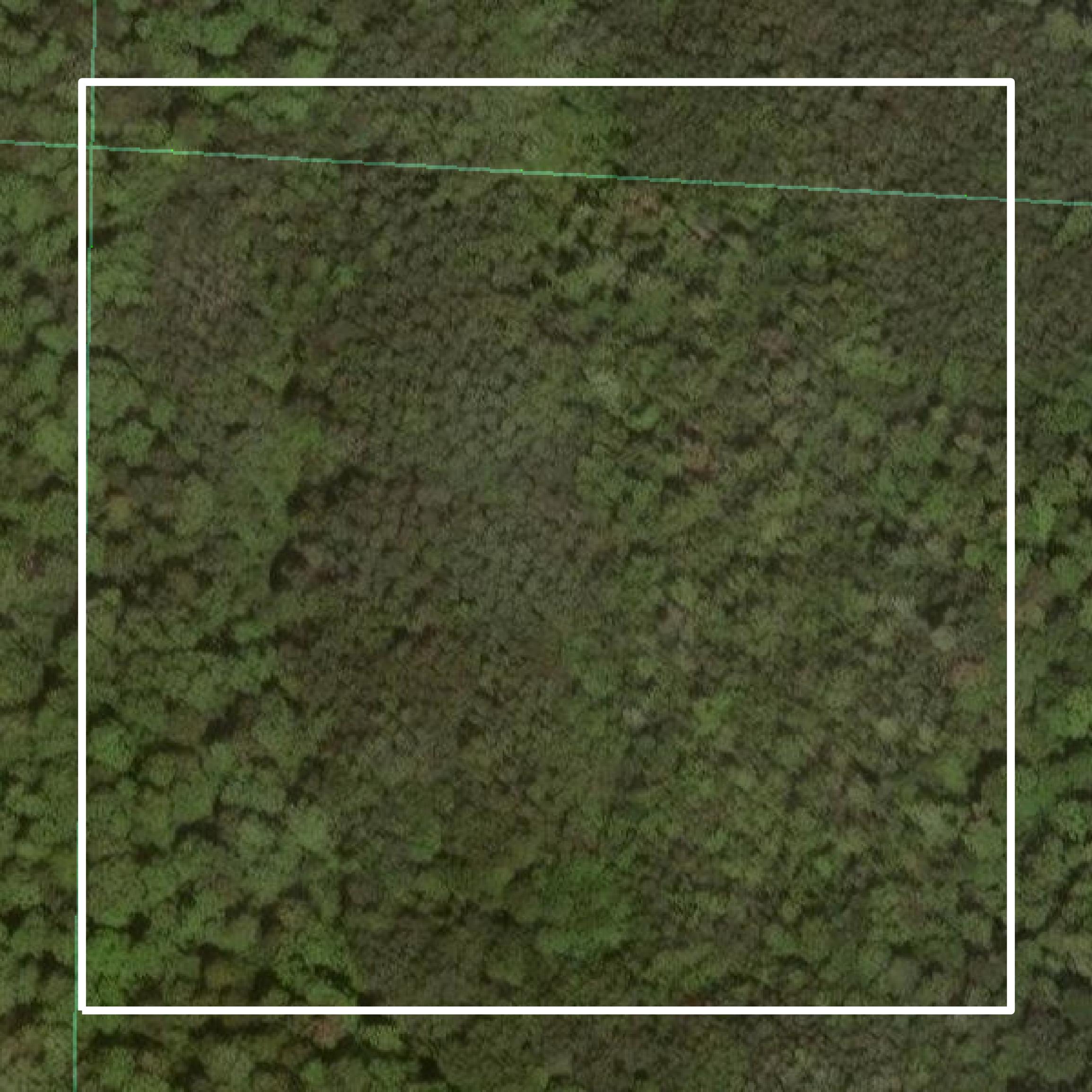 This image shows parcel and building data in Rusk County created using GIS data in Equator.