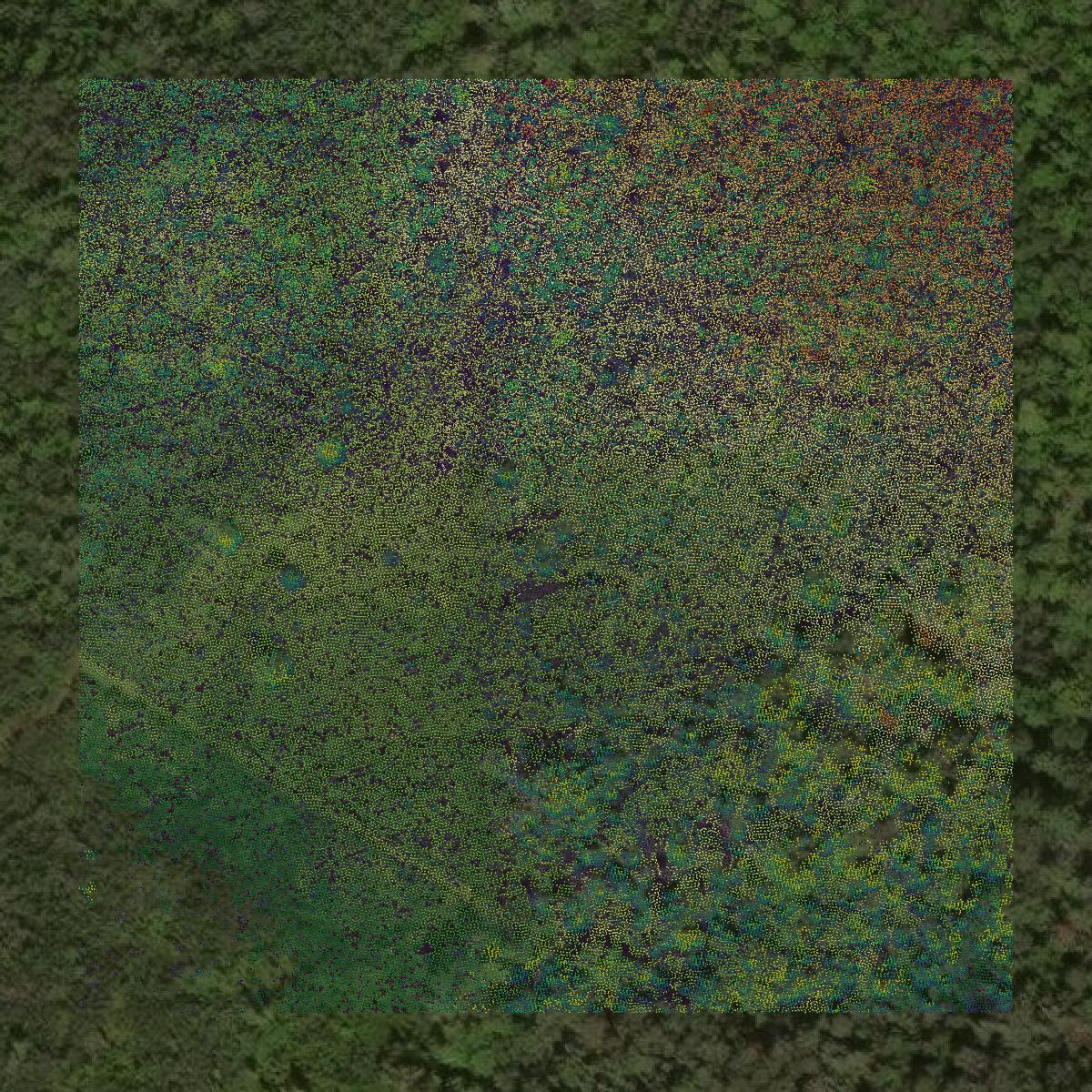 This image shows a LiDAR point cloud in Rusk County created using GIS data in Equator.