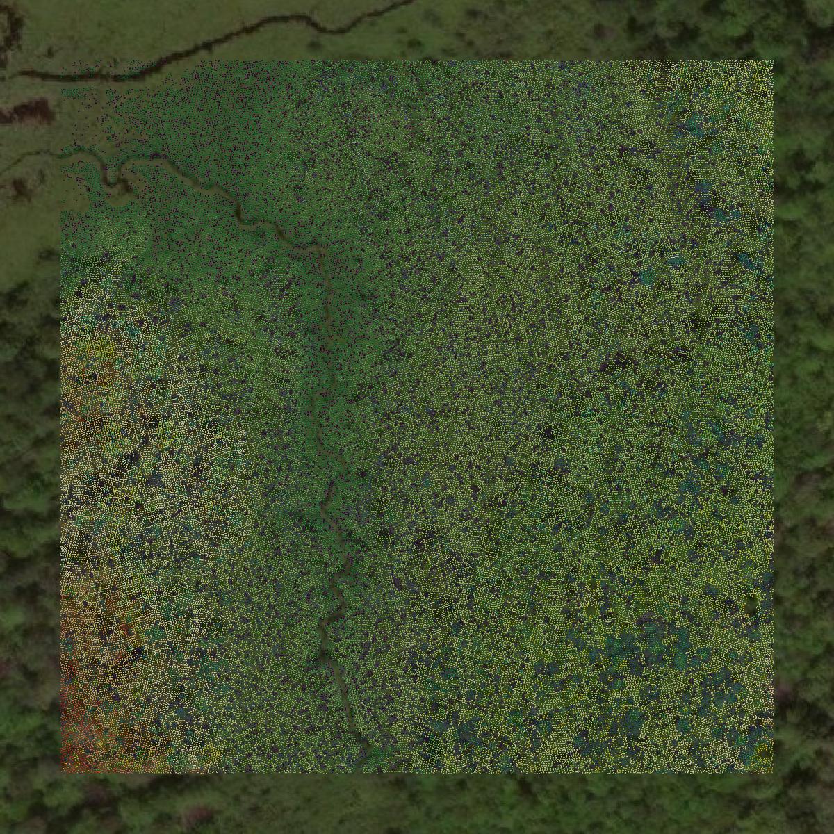 This image shows a LiDAR point cloud in Rusk County created using GIS data in Equator.