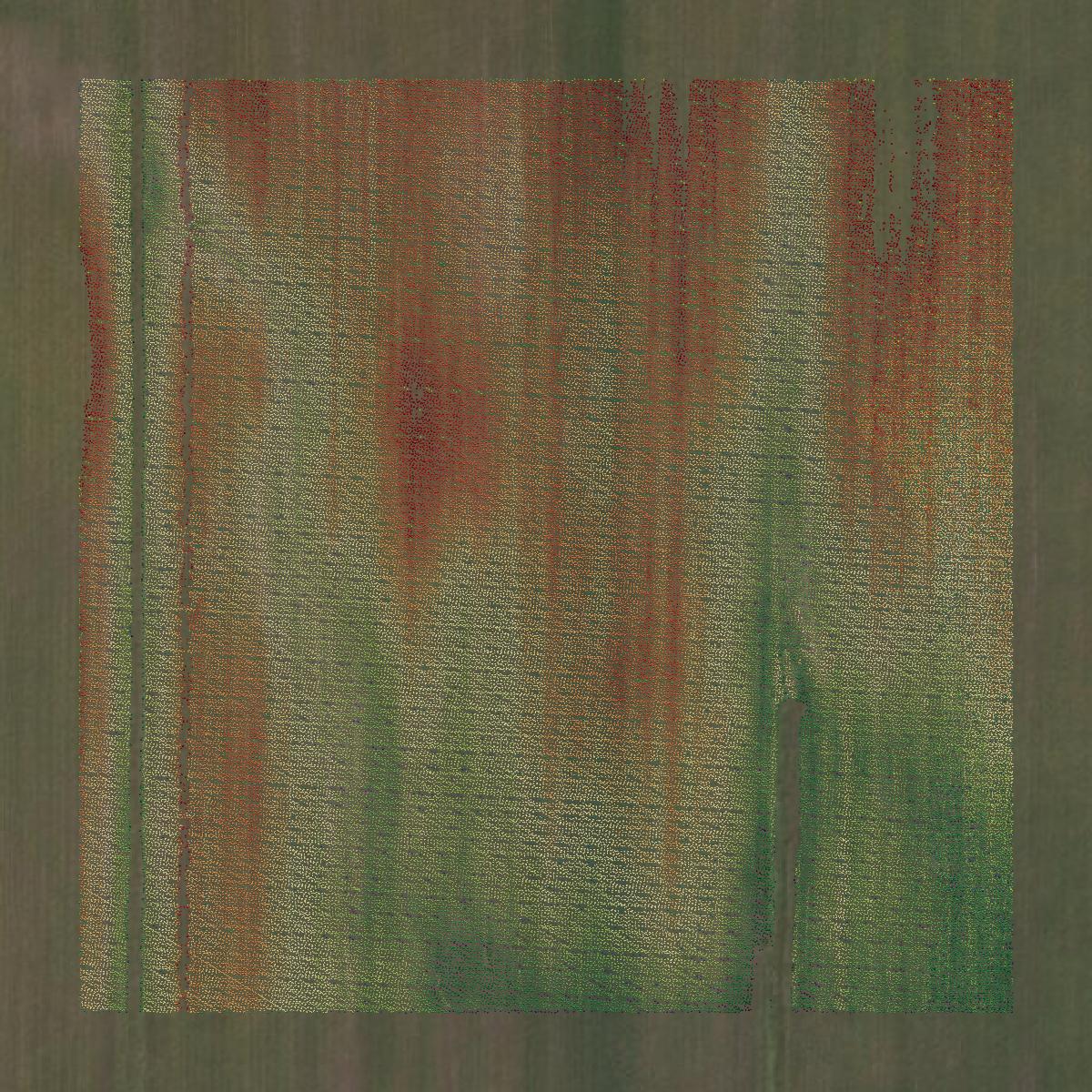 This image shows a LiDAR point cloud in Sauk County created using GIS data in Equator.