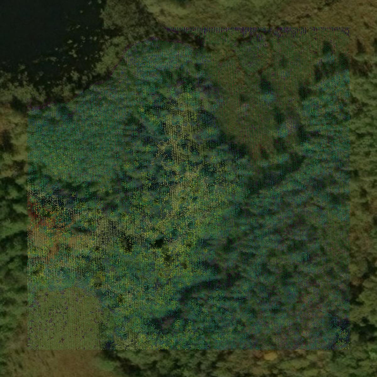 This image shows a LiDAR point cloud in Sawyer County created using GIS data in Equator.