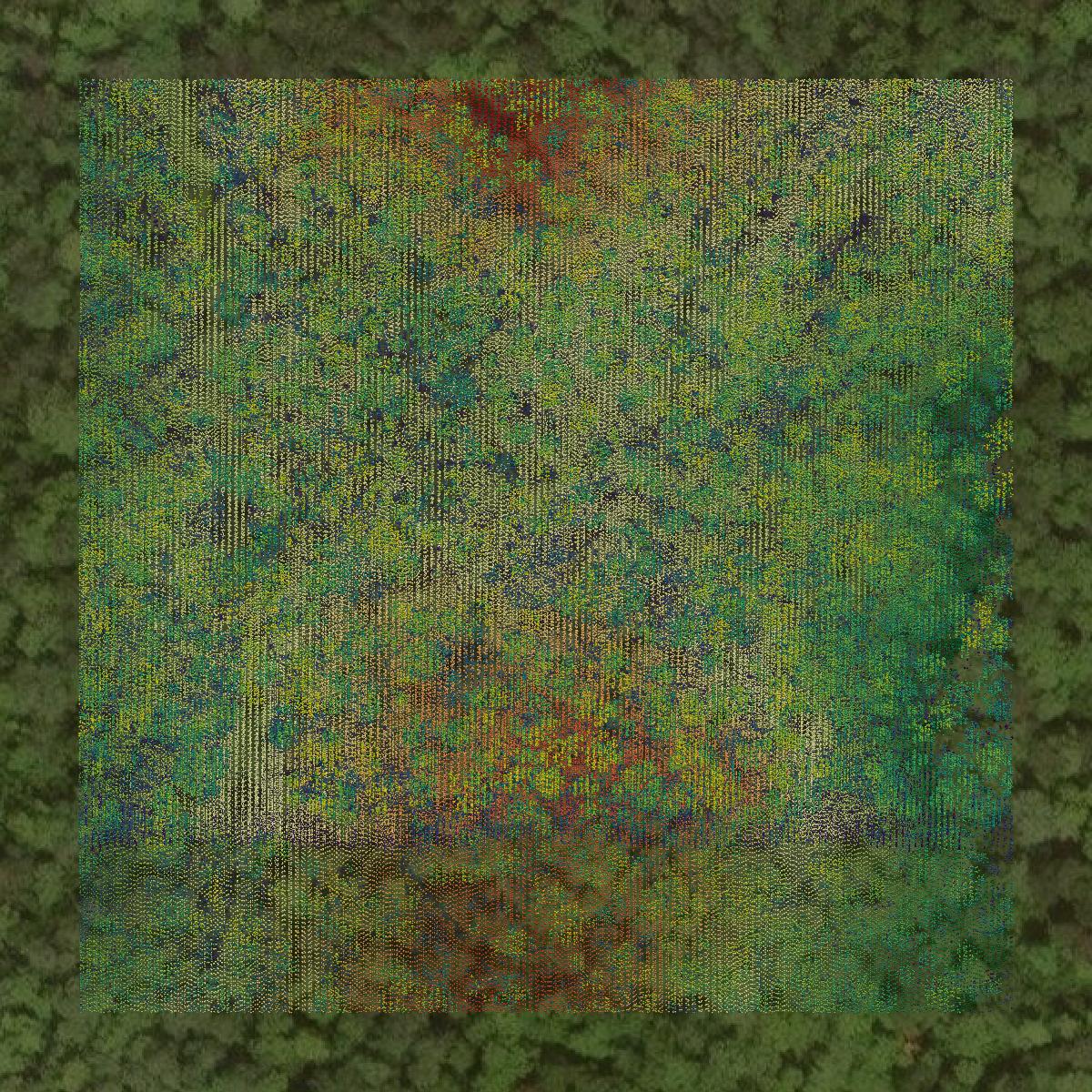 This image shows a LiDAR point cloud in Sawyer County created using GIS data in Equator.