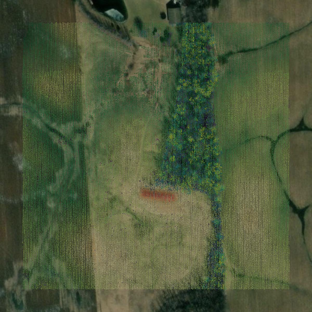 This image shows a LiDAR point cloud in Shawano County created using GIS data in Equator.