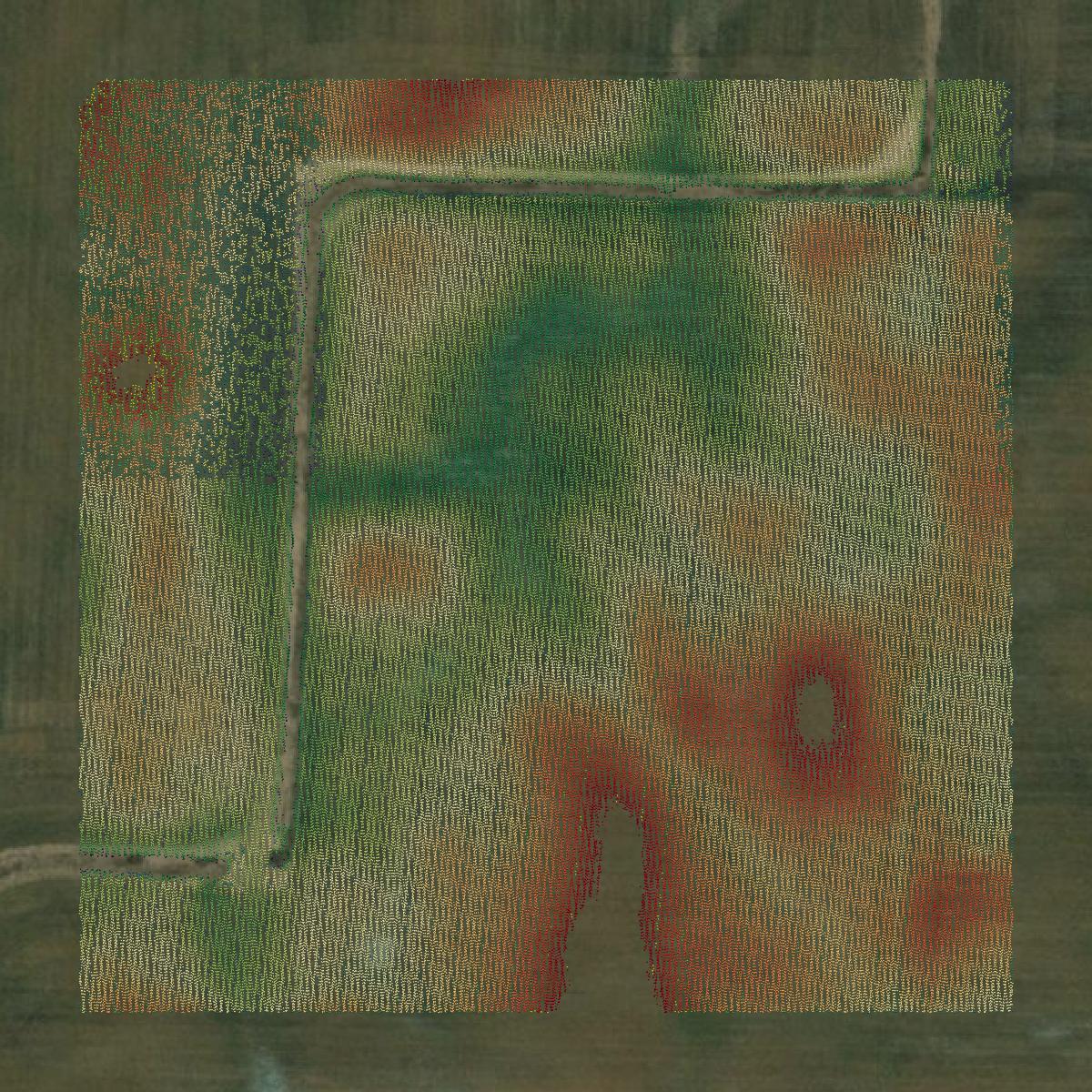 This image shows a LiDAR point cloud in Shawano County created using GIS data in Equator.