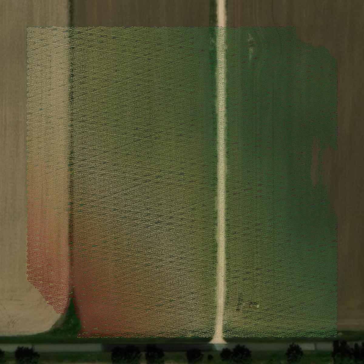 This image shows a LiDAR point cloud in St. Croix County created using GIS data in Equator.