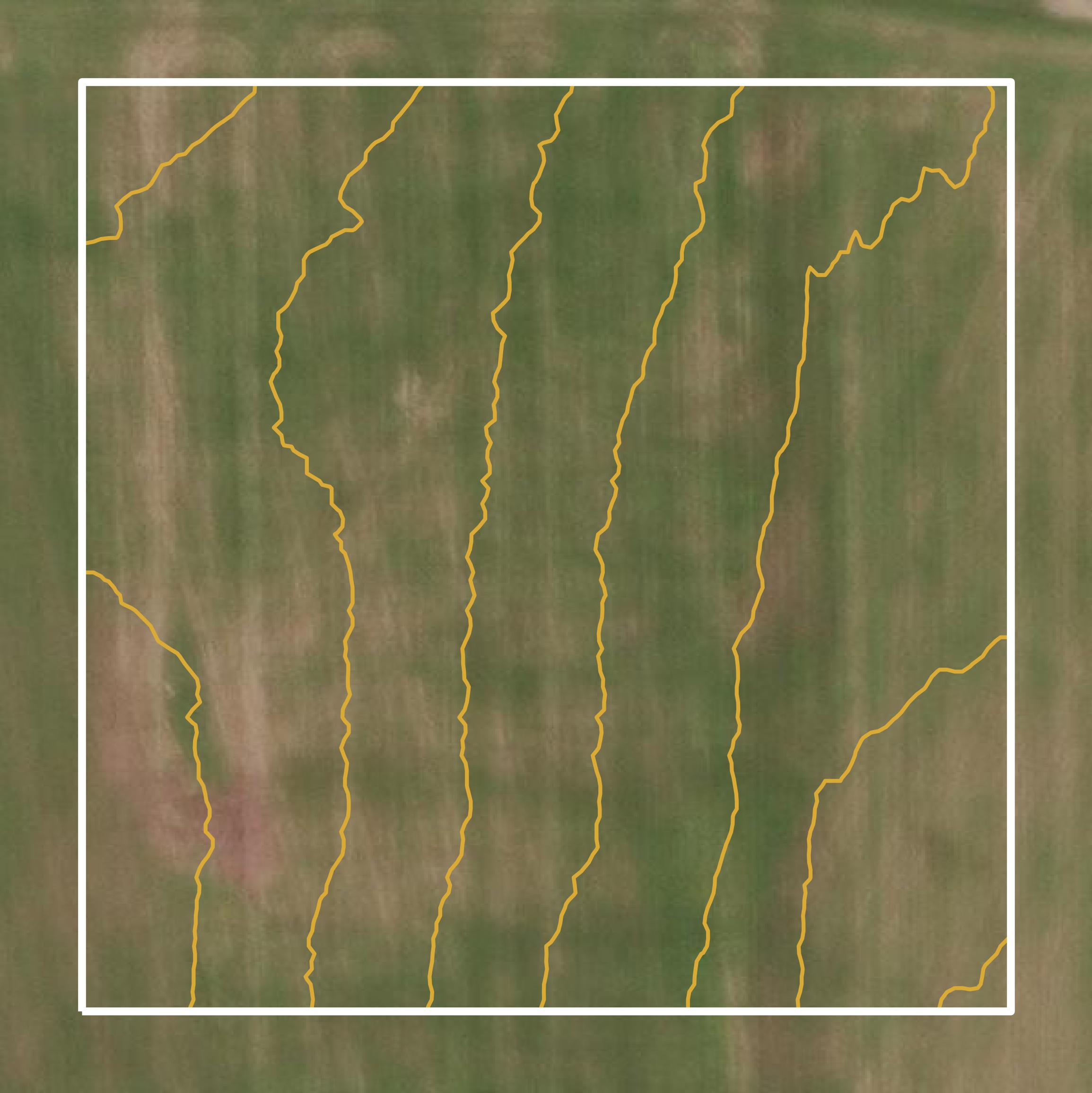This image shows a contour map in Taylor County created using GIS data in Equator.