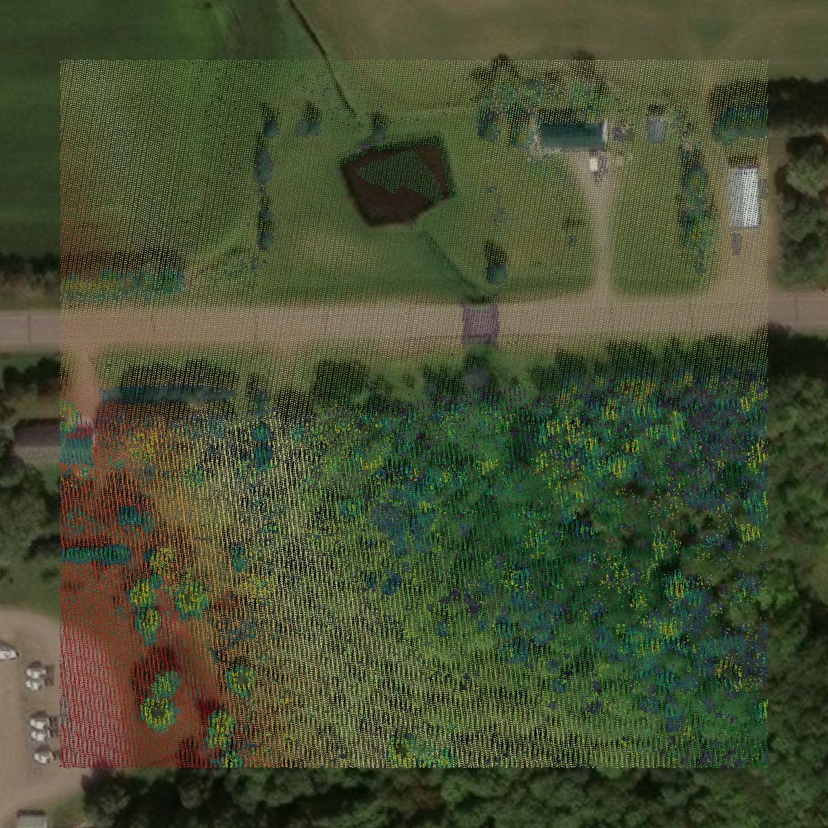 This image shows a LiDAR point cloud in Taylor County created using GIS data in Equator.