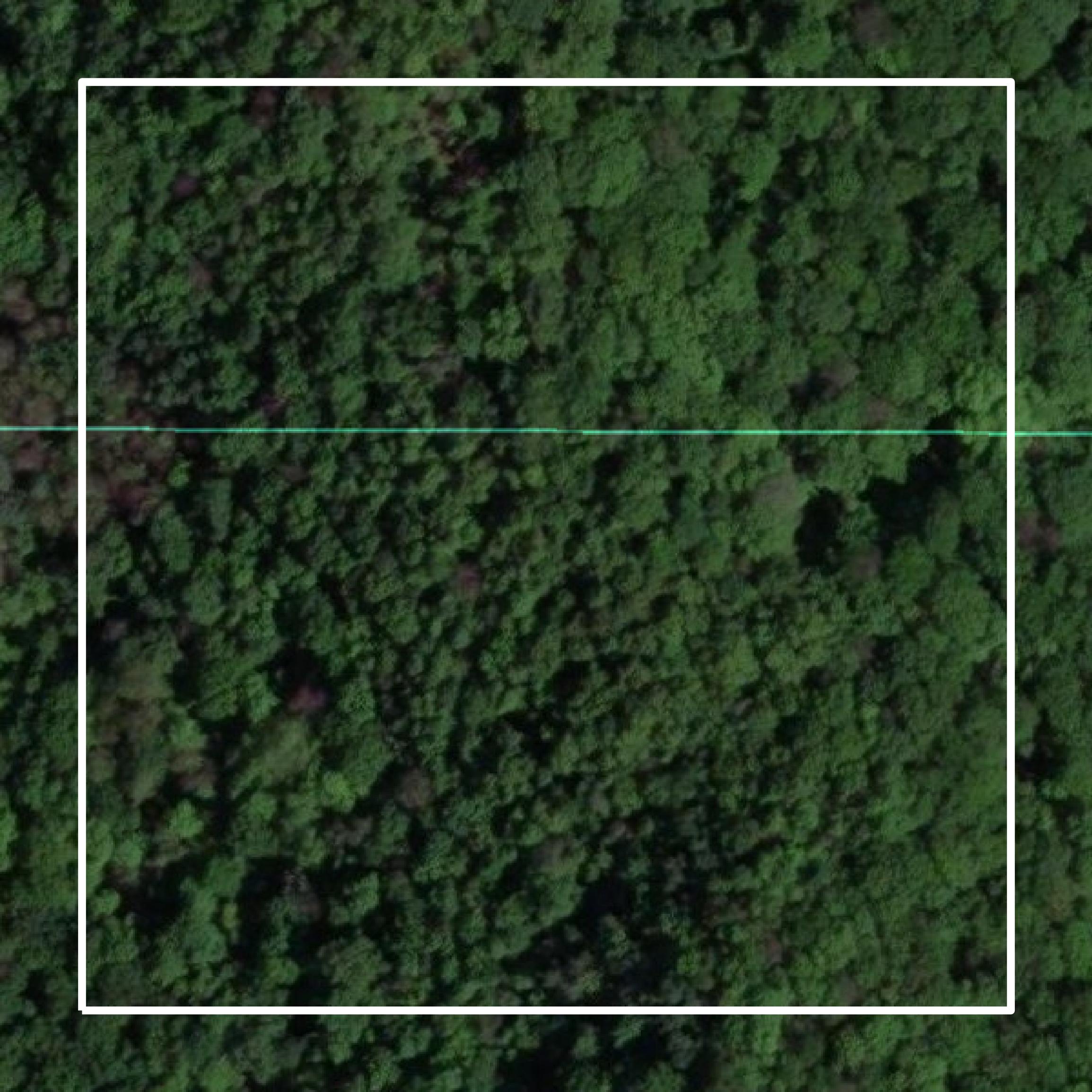 This image shows parcel and building data in Trempealeau County created using GIS data in Equator.