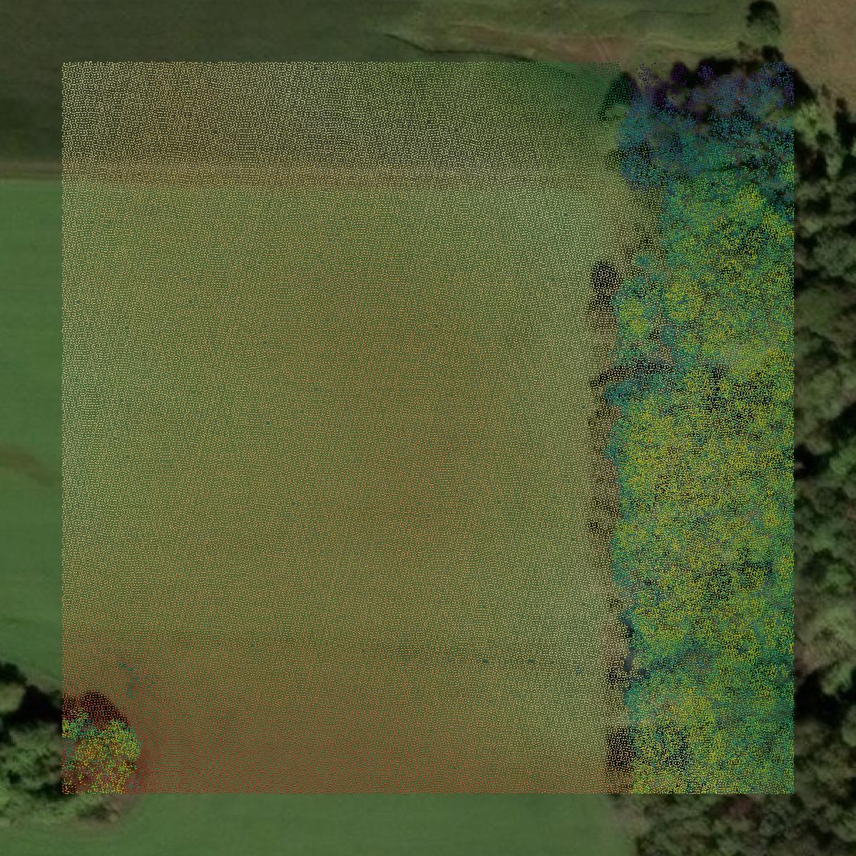 This image shows a LiDAR point cloud in Vernon County created using GIS data in Equator.