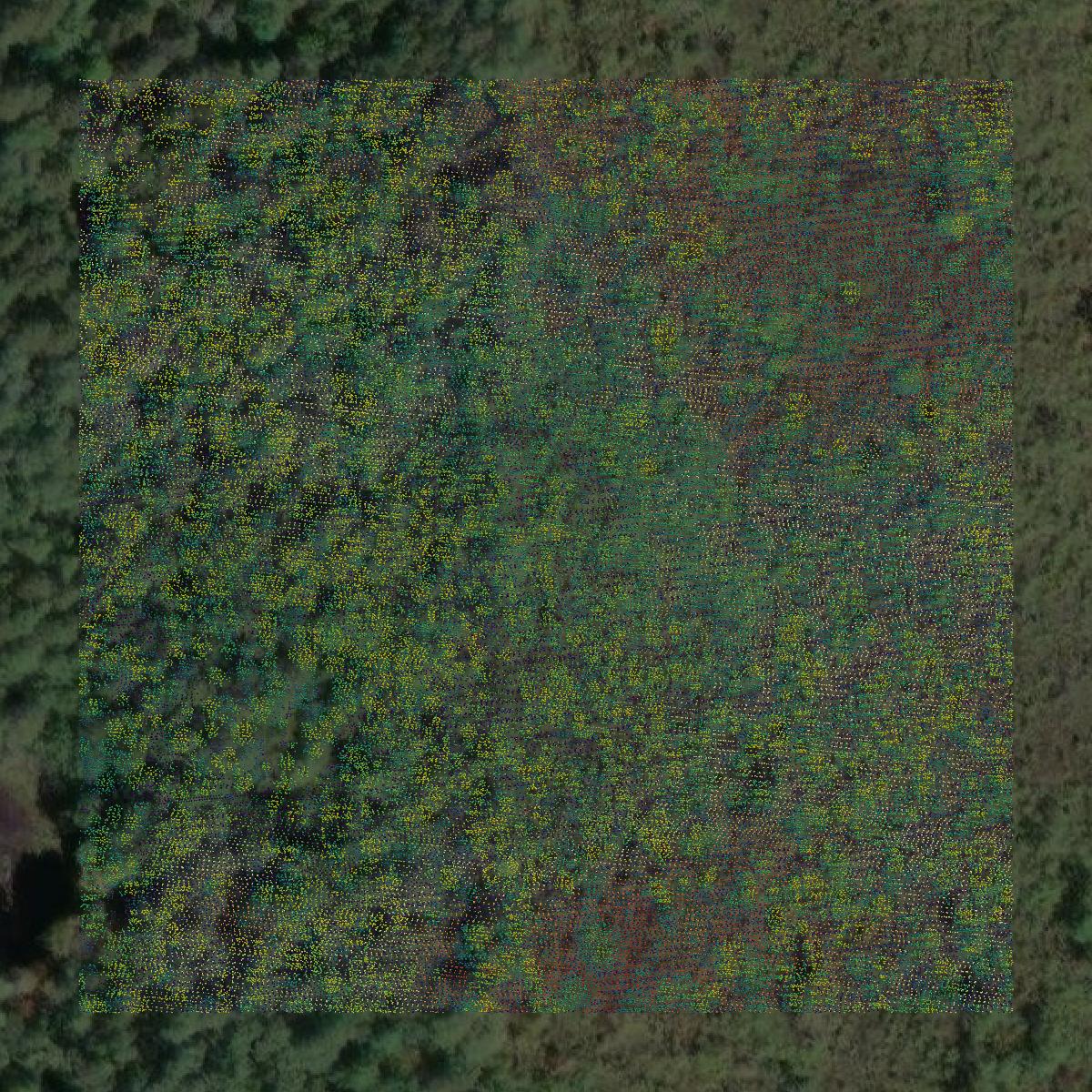 This image shows a LiDAR point cloud in Vilas County created using GIS data in Equator.