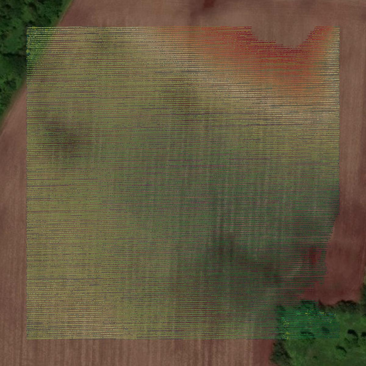 This image shows a LiDAR point cloud in Washburn County created using GIS data in Equator.