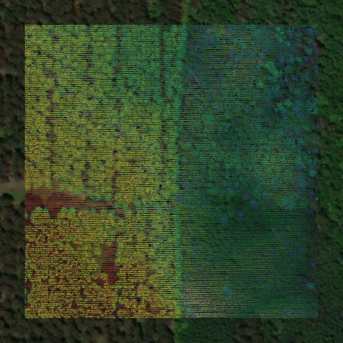 This image shows a LiDAR point cloud in Washburn County created using GIS data in Equator.