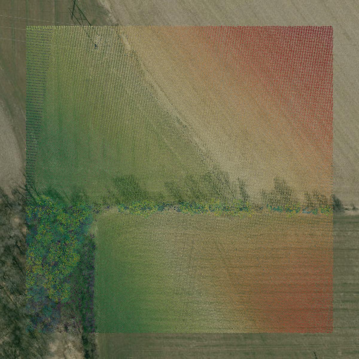 This image shows a LiDAR point cloud in Washington County created using GIS data in Equator.