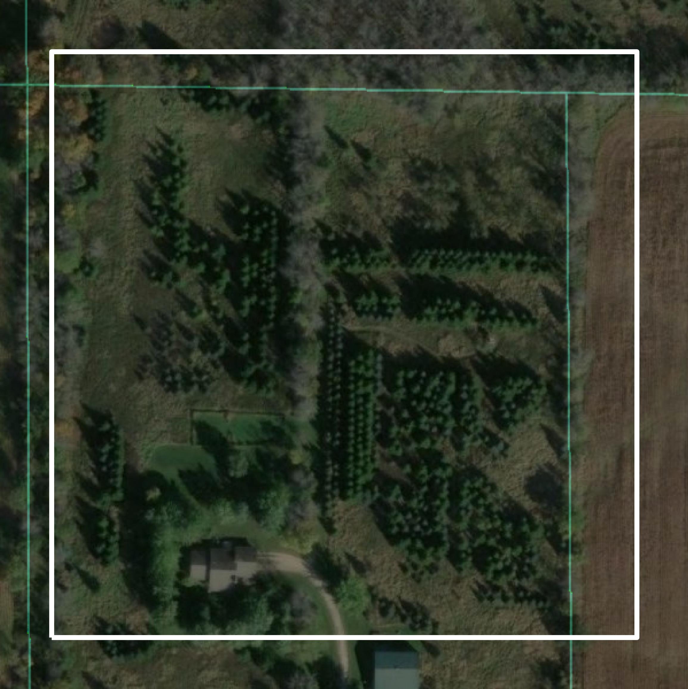 This image shows parcel and building data in Waushara County created using GIS data in Equator.
