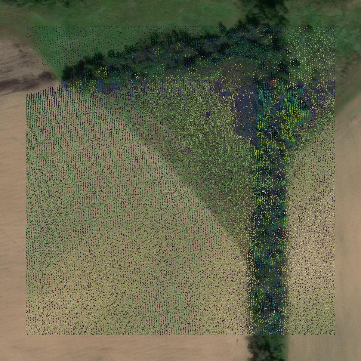 This image shows a LiDAR point cloud in Waushara County created using GIS data in Equator.
