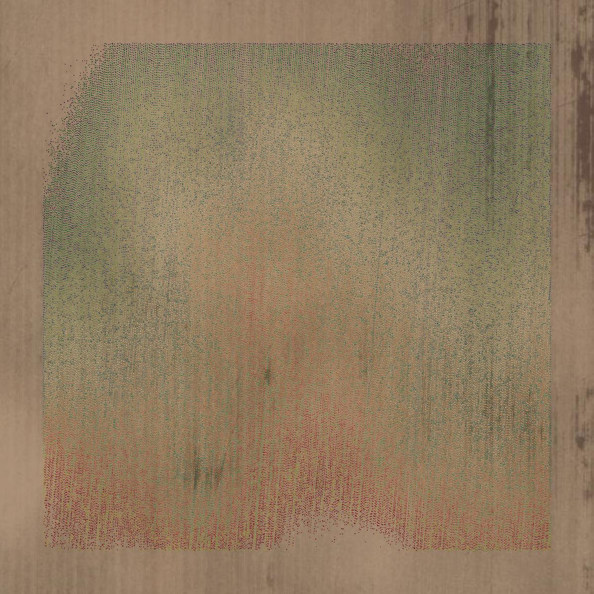 This image shows a LiDAR point cloud in Waushara County created using GIS data in Equator.