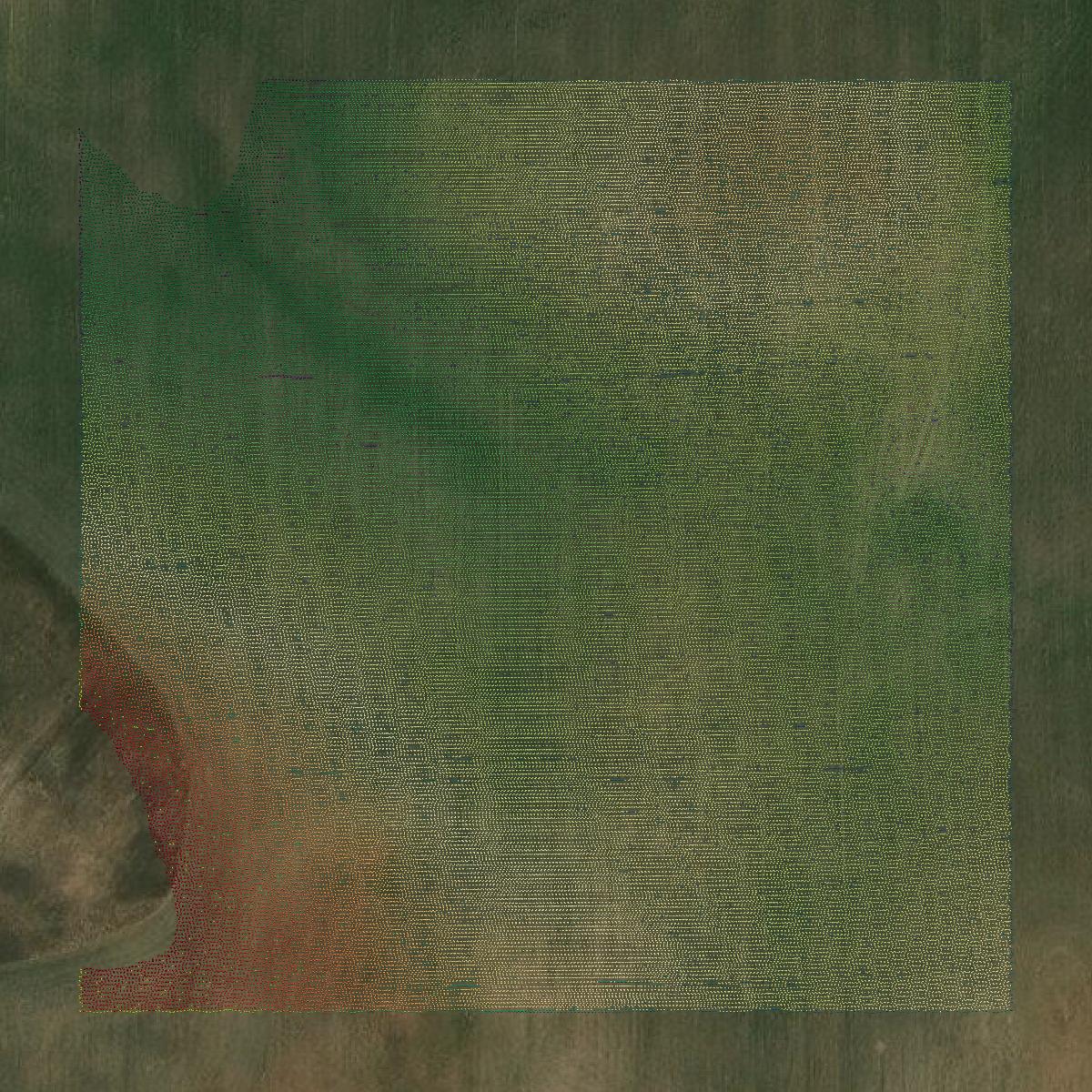 This image shows a LiDAR point cloud in Campbell County created using GIS data in Equator.