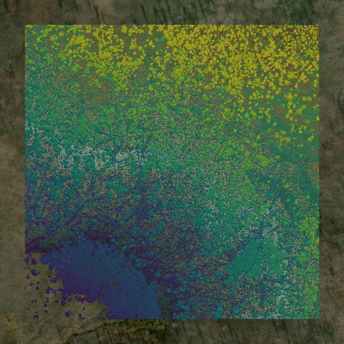 This image shows a LiDAR point cloud in Carbon County created using GIS data in Equator.
